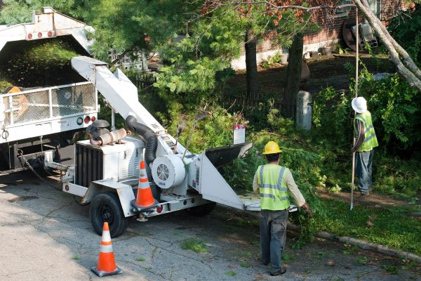 tree-cutting-truck